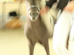 IMG_5317_web